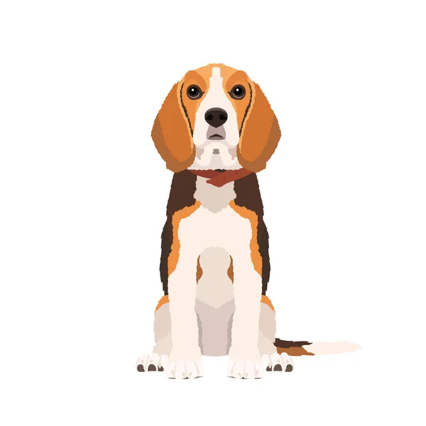 Διάνυσμα Πορτρέτο Του Σκύλου Κάθεται Beagle Απομονώνονται Λευκό Φόντο — Διανυσματικό Αρχείο