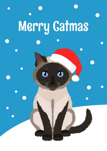 Karácsonyi Üdvözlőlapot Sziámi Macska Visel Piros Mikulás Kalap Felirat Merry — Stock Vector