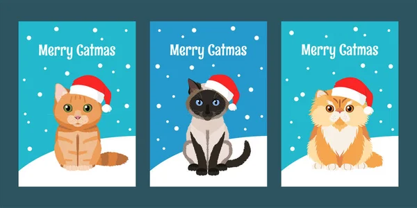 Feliz Navidad Tarjetas Felicitación Conjunto Con Gatos Encantadores Con Sombreros Vectores De Stock Sin Royalties Gratis