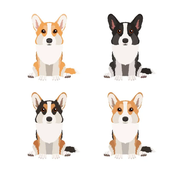 Set Corgis Different Colors Isolated White Background Vector Dogs Collection Ilustraciones De Stock Sin Royalties Gratis
