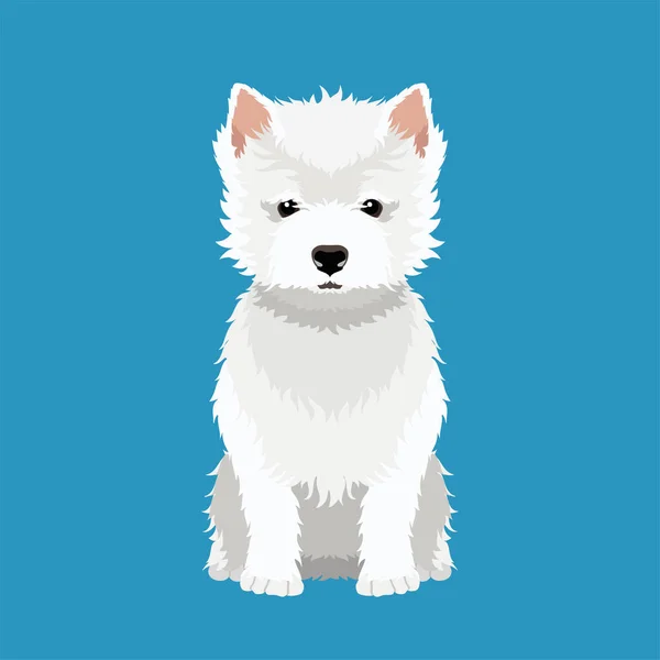 Ilustração Vetorial West Highland White Terrier Isolado Sobre Fundo Branco — Vetor de Stock