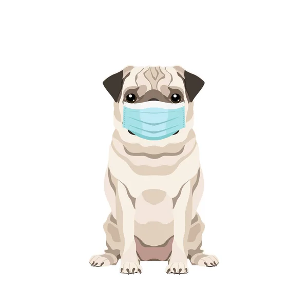 Retrato Vetorial Pug Usando Máscara Protetora Isolada Fundo Branco — Vetor de Stock