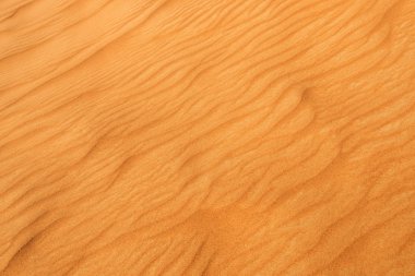 Fotoğraf sand Dune içinde çöl Birleşik Arap Emirlikleri