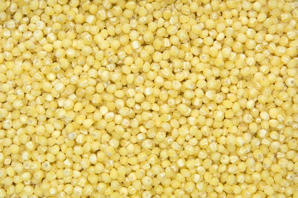 Close up shot of oat(textured) Stock Picture