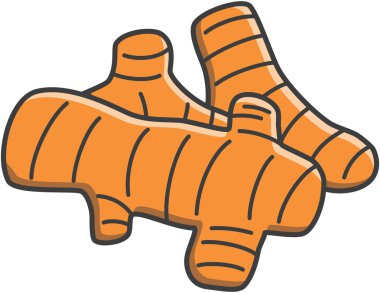 Tumeric vektör çizim