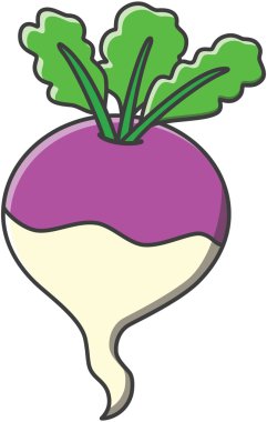 Fasulye sporut vektör çizim