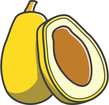 Hurma vektör çizim