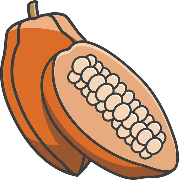 Cacao frutas Vector Ilustración — Vector de stock