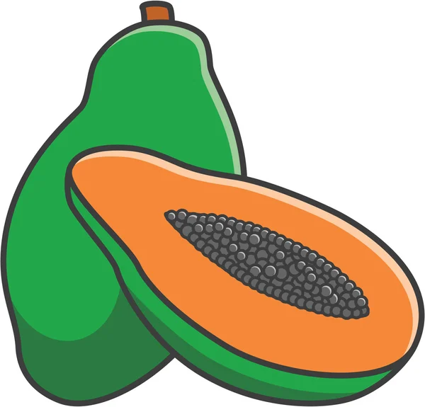 Ilustración vectorial Papaya — Vector de stock