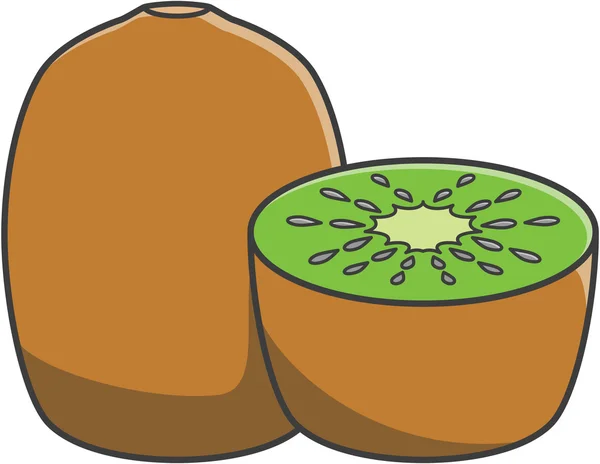 Kiwi frutas Vector Ilustração — Vetor de Stock