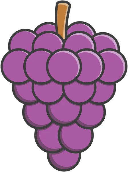 Grape frukt vektor Illustration — Stock vektor