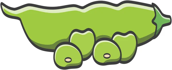 Bean vectorillustratie — Stockvector