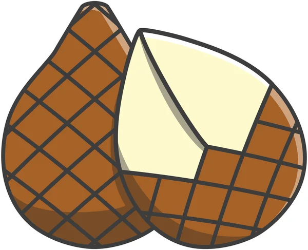 Ilustração do vetor Snakefruit —  Vetores de Stock