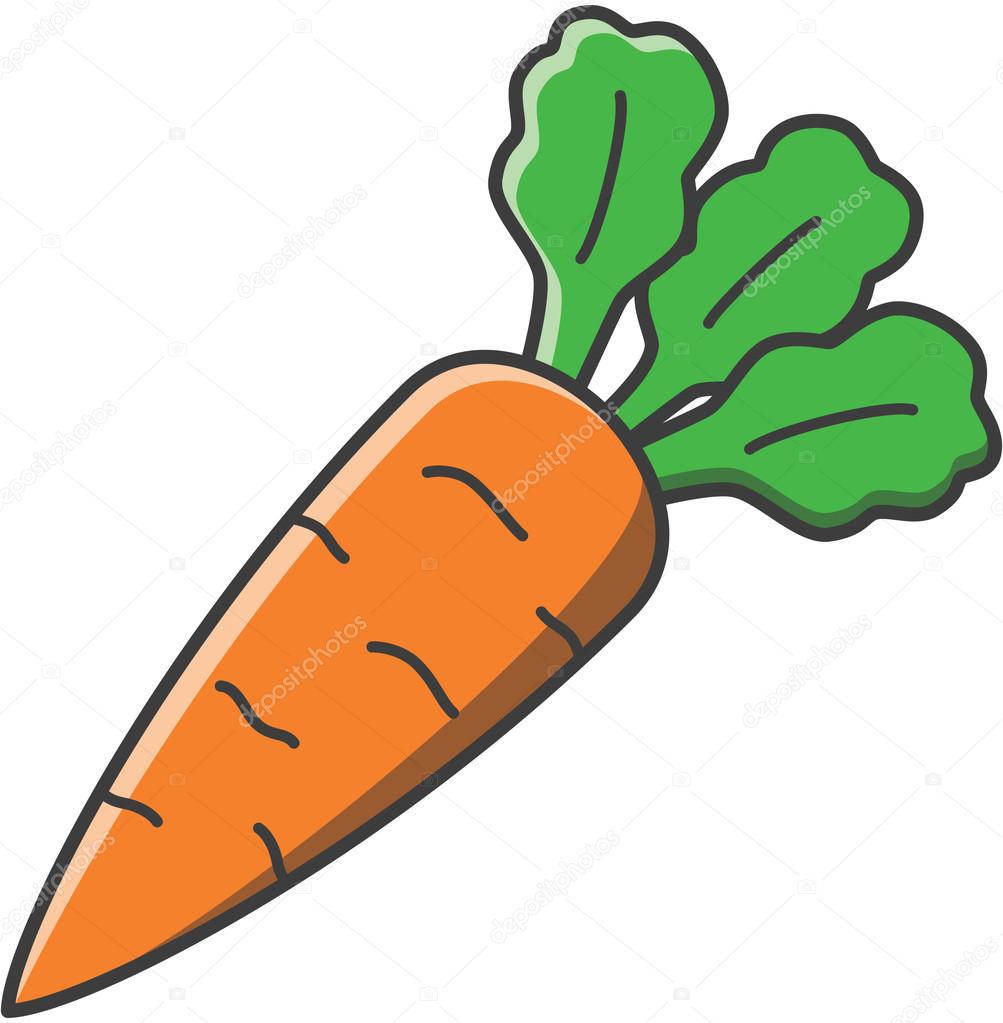 carrots Vector Illustration