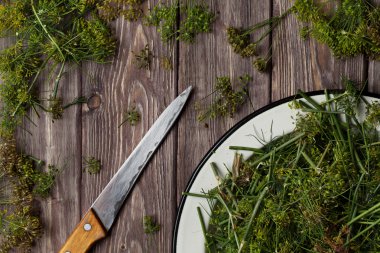 ahşap bir masa üzerine dereotu