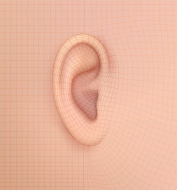 İnsan kulağını yönlendir. işitme tedavisi, estetik ameliyat, implantasyon