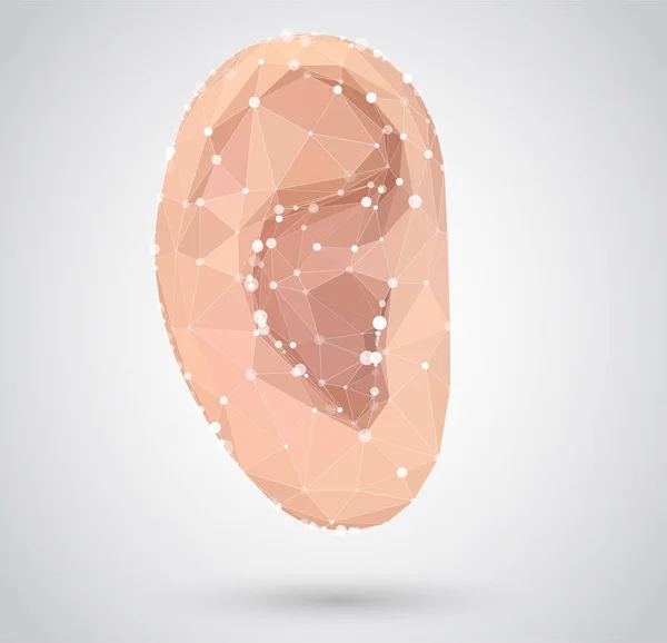Vector Oído Humano Tratamiento Auditivo Cirugía Plástica Implantación — Vector de stock