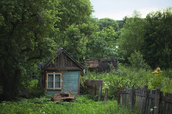 Small Village House Wilderness Forest Sky Quiet Place Forest — Stock Photo, Image