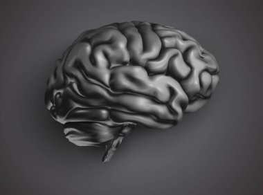 anatomik insan beyni, ağ vektörü, bilimsel makale tasarımı ve tıp kitapçığı