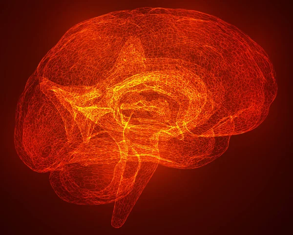 Vector Illustratie Driedimensionale Hersenen Een Rode Achtergrond — Stockvector