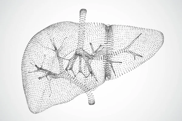 ドットやグローのベクトル抽象的な背景 人間の肝臓 — ストックベクタ