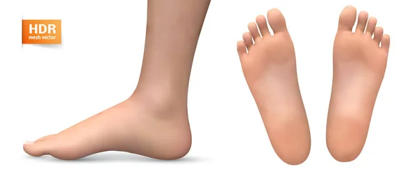 Ilustrasi Volume Kaki Vektor Kesehatan Dan Pemilihan Sepatu - Stok Vektor