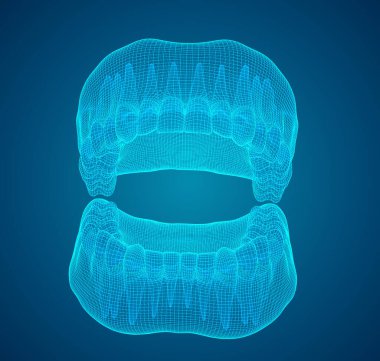 İnsan çenesi. 3d vektör düzeni. ilaç ve sağlık