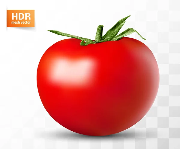 红色成熟的病媒西红柿躺在白色的背景上 — 图库矢量图片