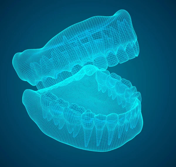 人类的下巴 3D矢量布局 药物与健康 — 图库矢量图片