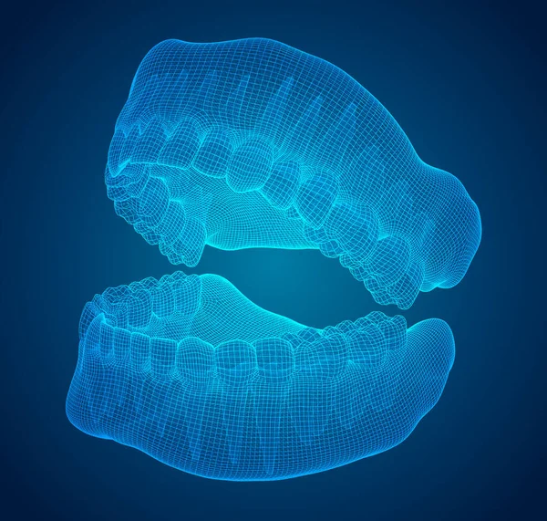 人类的下巴 3D矢量布局 药物与健康 — 图库矢量图片