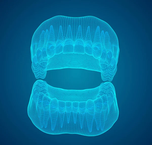 Lidská Čelist Vektorové Uspořádání Medicína Zdraví — Stockový vektor