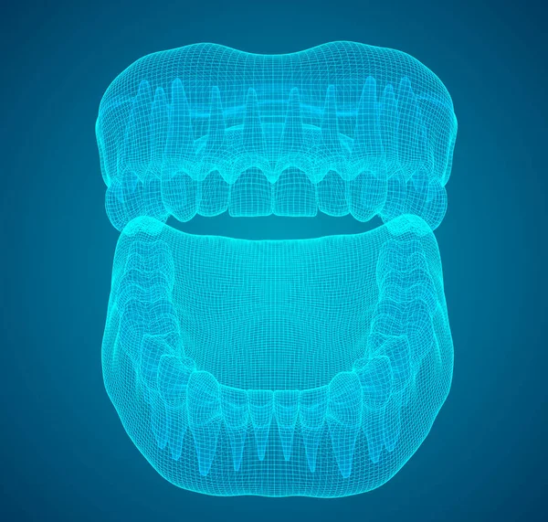 Lidská Čelist Vektorové Uspořádání Medicína Zdraví — Stockový vektor