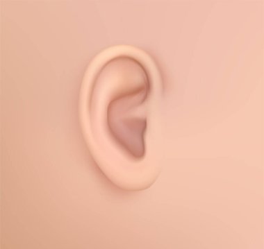 İnsan kulağını yönlendir. işitme tedavisi, estetik ameliyat, implantasyon
