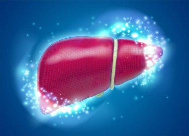 Uyuşturucu ve tıbbi haberler için vektör insan karaciğeri, hacim 3D organ