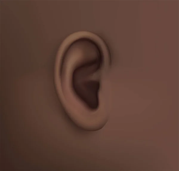 Vektor Menschliches Ohr Hörbehandlung Plastische Chirurgie Implantation — Stockvektor