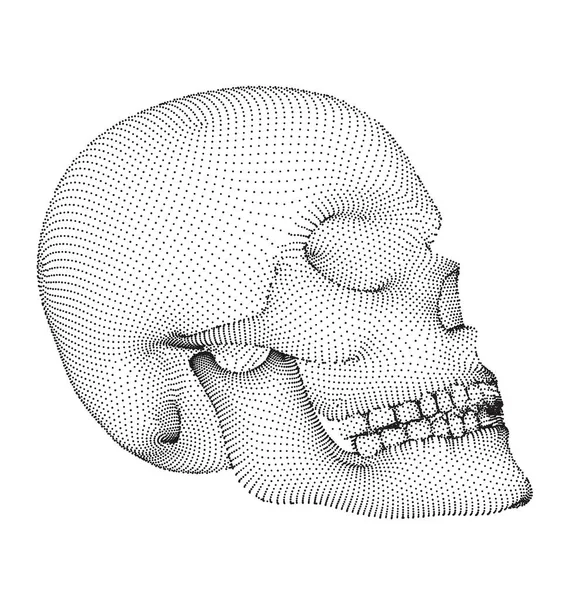 Vector Cráneo Humano Sobre Fondo Color Símbolo Muerte Halloween Día — Archivo Imágenes Vectoriales