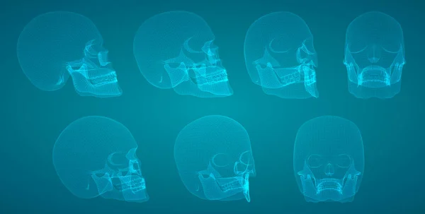 Conjunto Vectorial Cráneos Humanos Con Polígonos Cuadrados Triangulares — Vector de stock