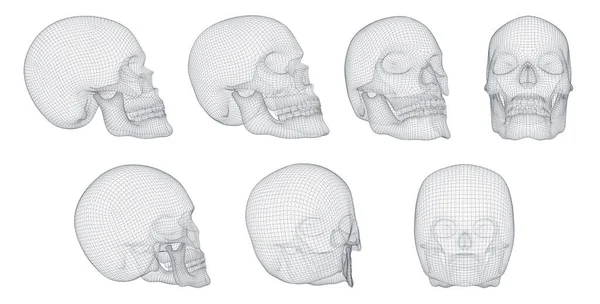 Conjunto Vetorial Crânios Humanos Com Polígonos Quadrados Triangulares —  Vetores de Stock