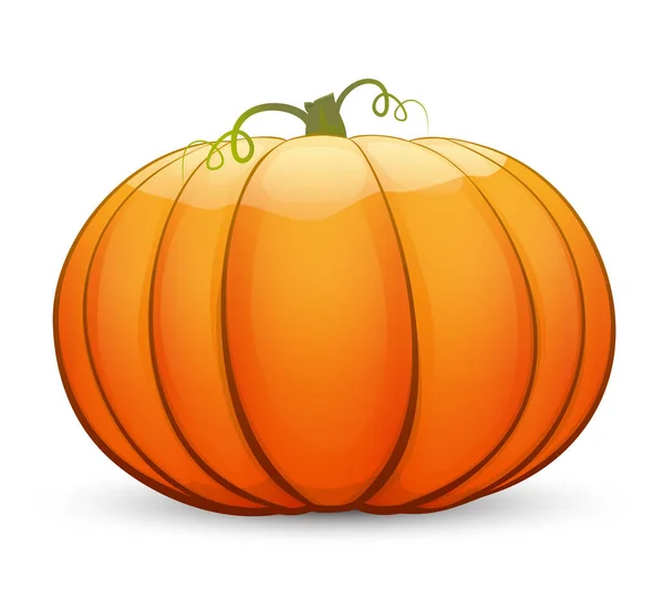 Large Festive Pumpkin Vector Illustration Cartoon Style — Stock Vector