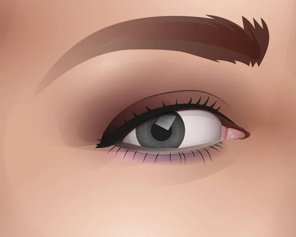 Vector Ojo Femenino Con Maquillaje Ilustración Realista Manera — Vector de stock