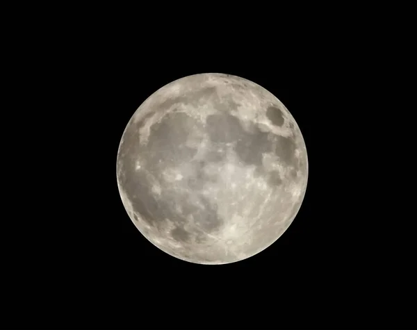 Vector Image Full Moon Isolated Black Sky — Stock Vector
