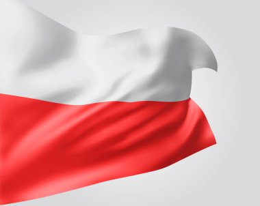 Polonya, dalgalı vektör bayrağı ve beyaz arka planda rüzgarda sallanan kıvrımlar.