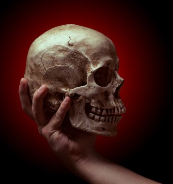 bir kafatası tutan el