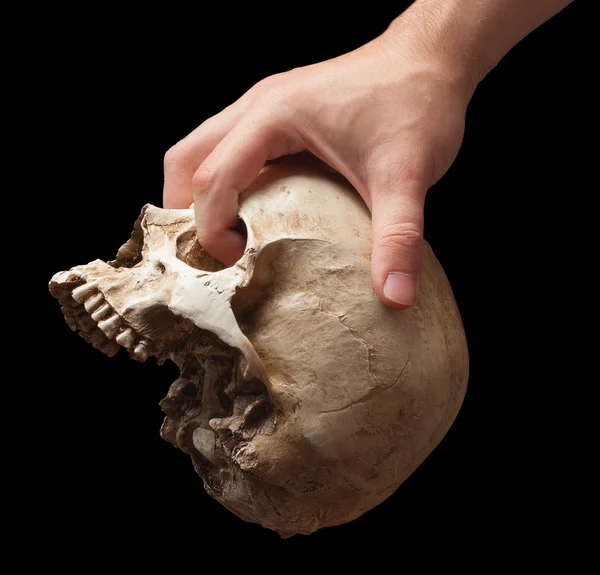Mano sosteniendo un cráneo — Foto de Stock