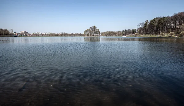 Волны на реке, остров с деревьями — стоковое фото