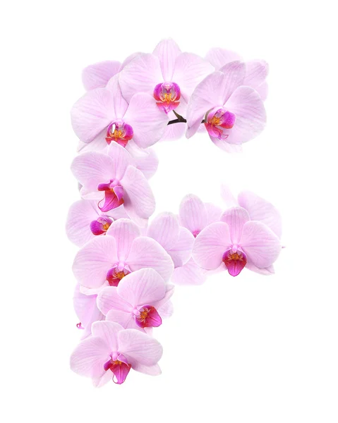 Letra F de flores de orquídea — Foto de Stock