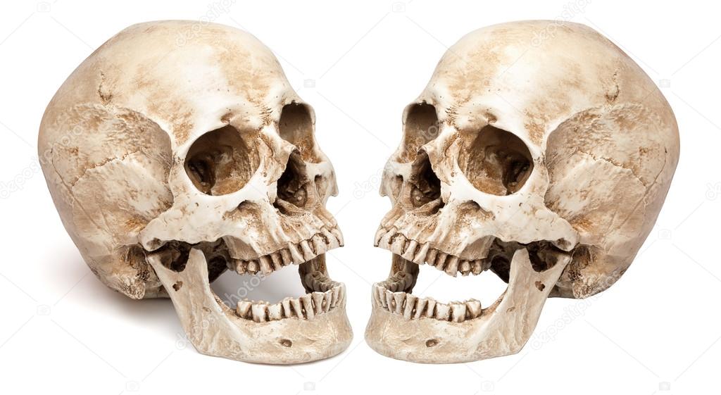 Skull-open mouth. Stock Photo by ©coffeemill 58714913