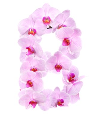 orkide çiçekleri gelen mektup B