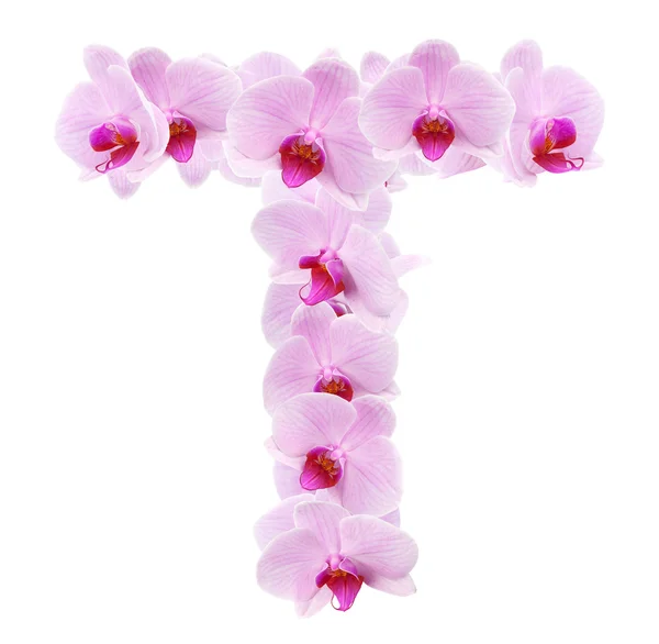 Litera T z kwiaty orchidei — Zdjęcie stockowe