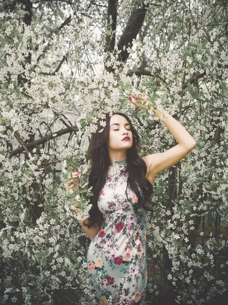 Bella signorina nel giardino dei fiori di ciliegio — Foto Stock